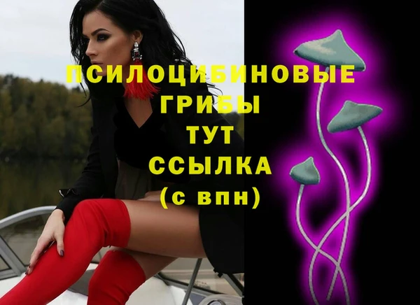 2c-b Алзамай