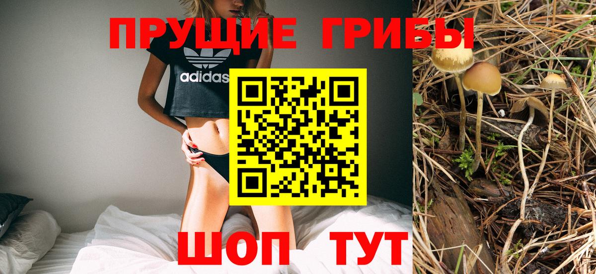 Псилоцибиновые грибы прущие грибы Клин