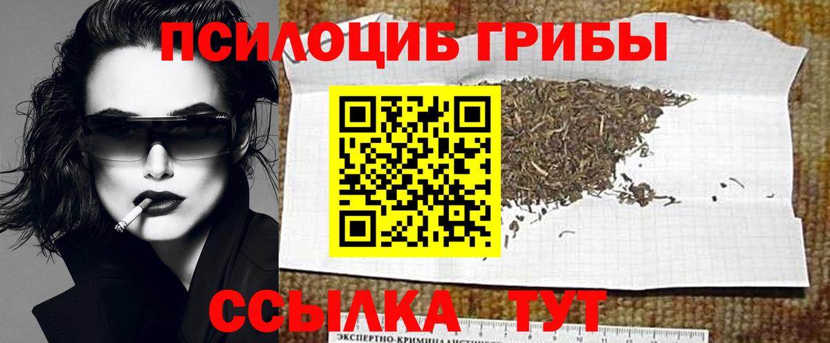 Клин  Псилоцибиновые грибы MAGIC MUSHROOMS  Вход с VPN  Галлюциногенные грибы Psilocybe 